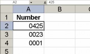 Leading zeros in Excel - keep 'em safe!